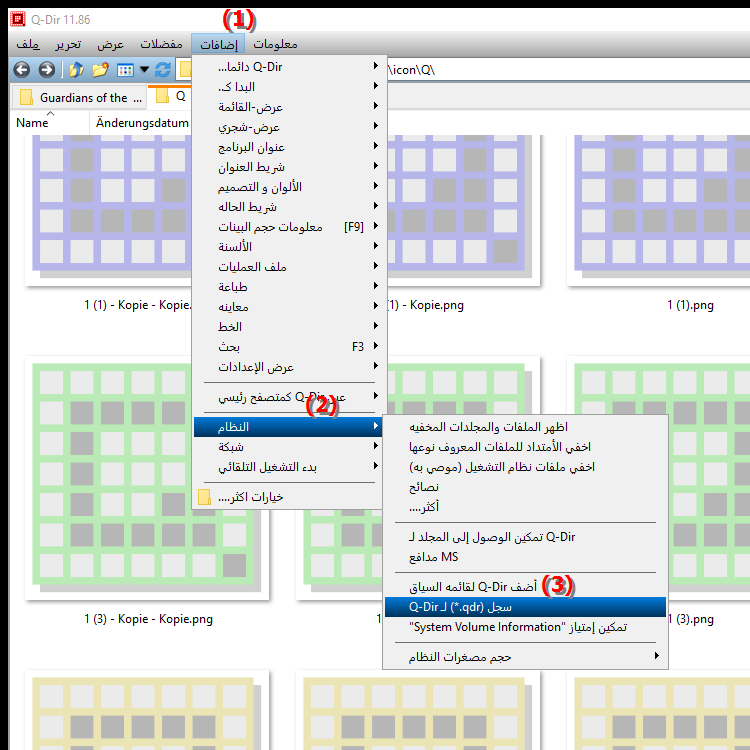 ماذا يعني تسجيل  .qdr في Quad File Explorer